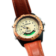 Timex Expedition 