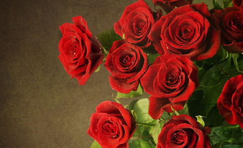 Red Roses